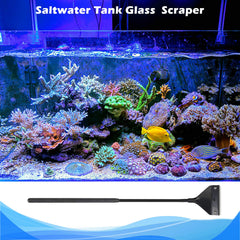 Pronetcus algae scraper with a large head for thorough cleaning.