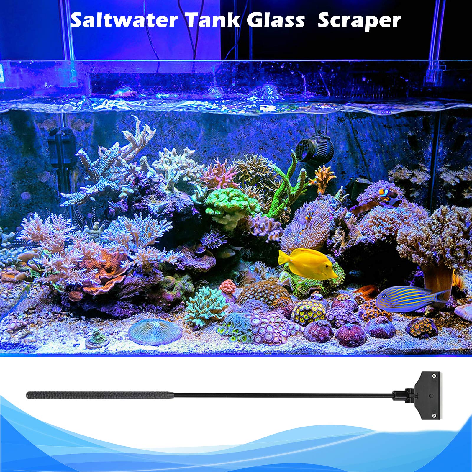 Pronetcus aquarium algae scraper blade replacement demonstrates easy maintenance