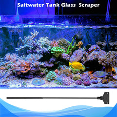 Pronetcus aquarium algae scraper blade replacement demonstrates easy maintenance