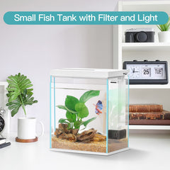 Pronetcus Betta Tank top view highlighting clean design and easy access