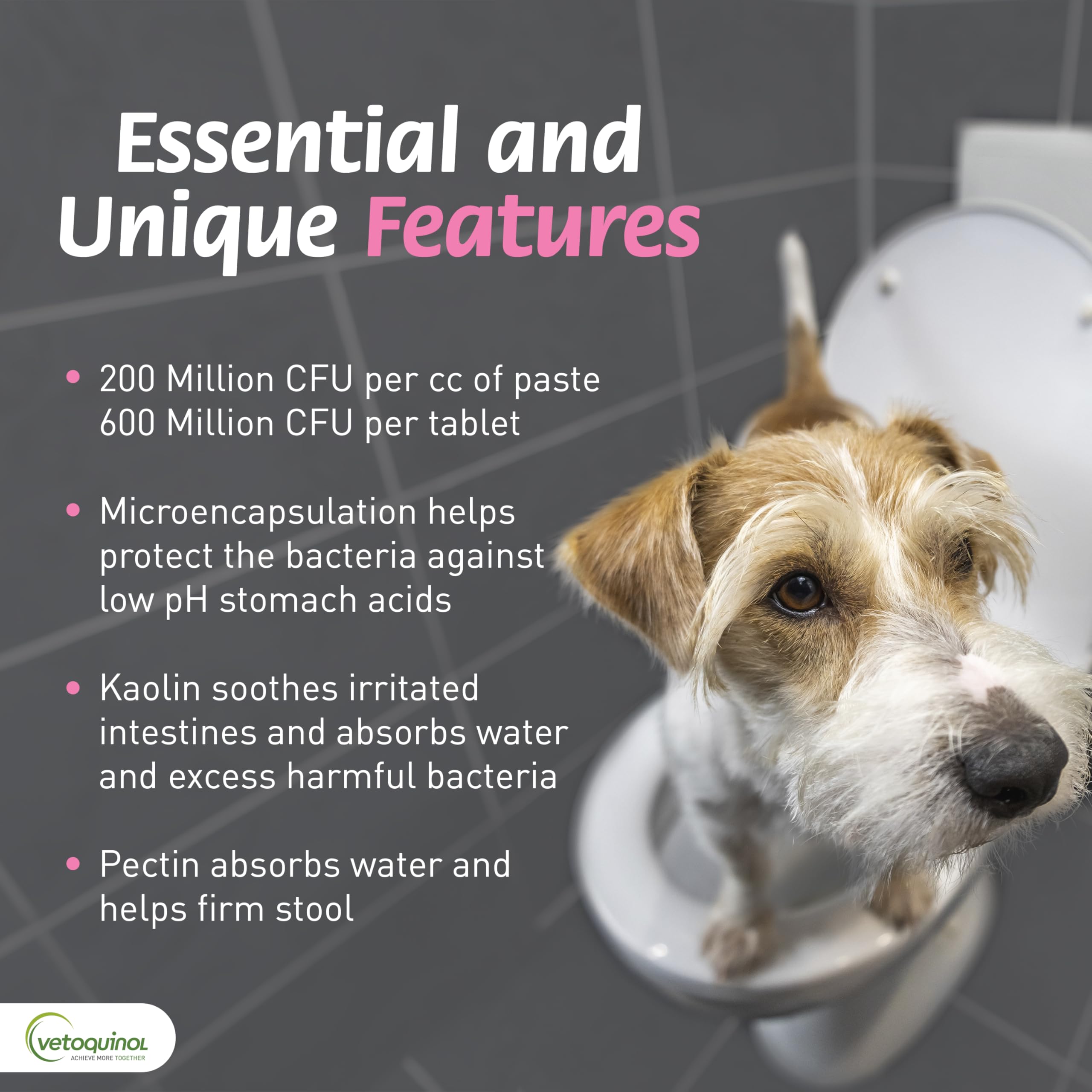 ProPectalin paste designed for dogs with gentle digestive support