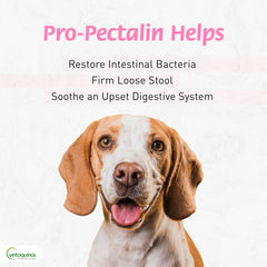 ProPectalin packaging box with chicken flavor for easy administration