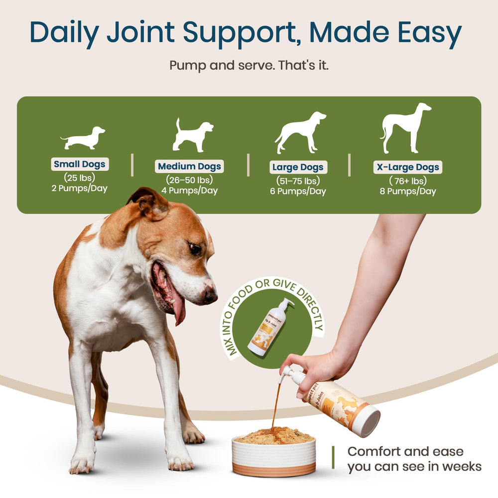 Prospect Pet dog eating food with supplement illustrates easy administration.