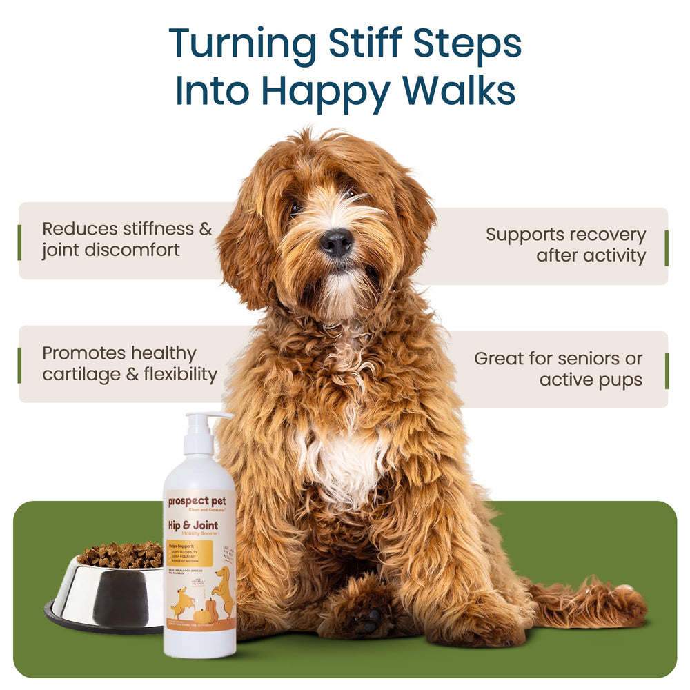 Prospect Pet label-closeup highlights shellfish-free glucosamine and plant-based chondroitin.
