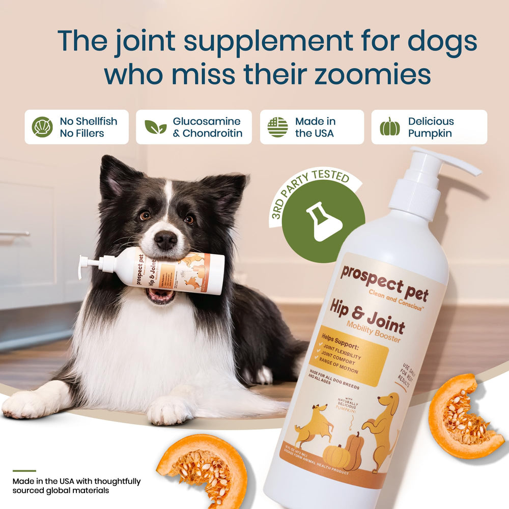 Prospect Pet liquid dog supplement pump-dispense enabling simple meal mixing.