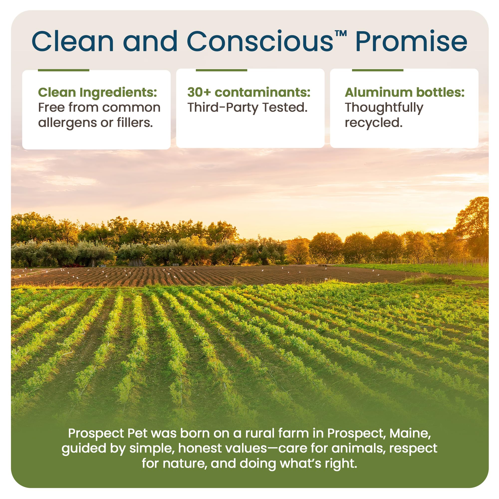 Prospect Pet USA-made aluminum bottle communicates quality and sustainable packaging.