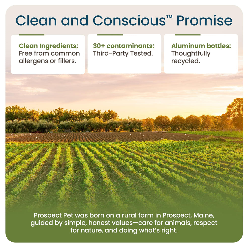 Prospect Pet USA-made aluminum bottle communicates quality and sustainable packaging.