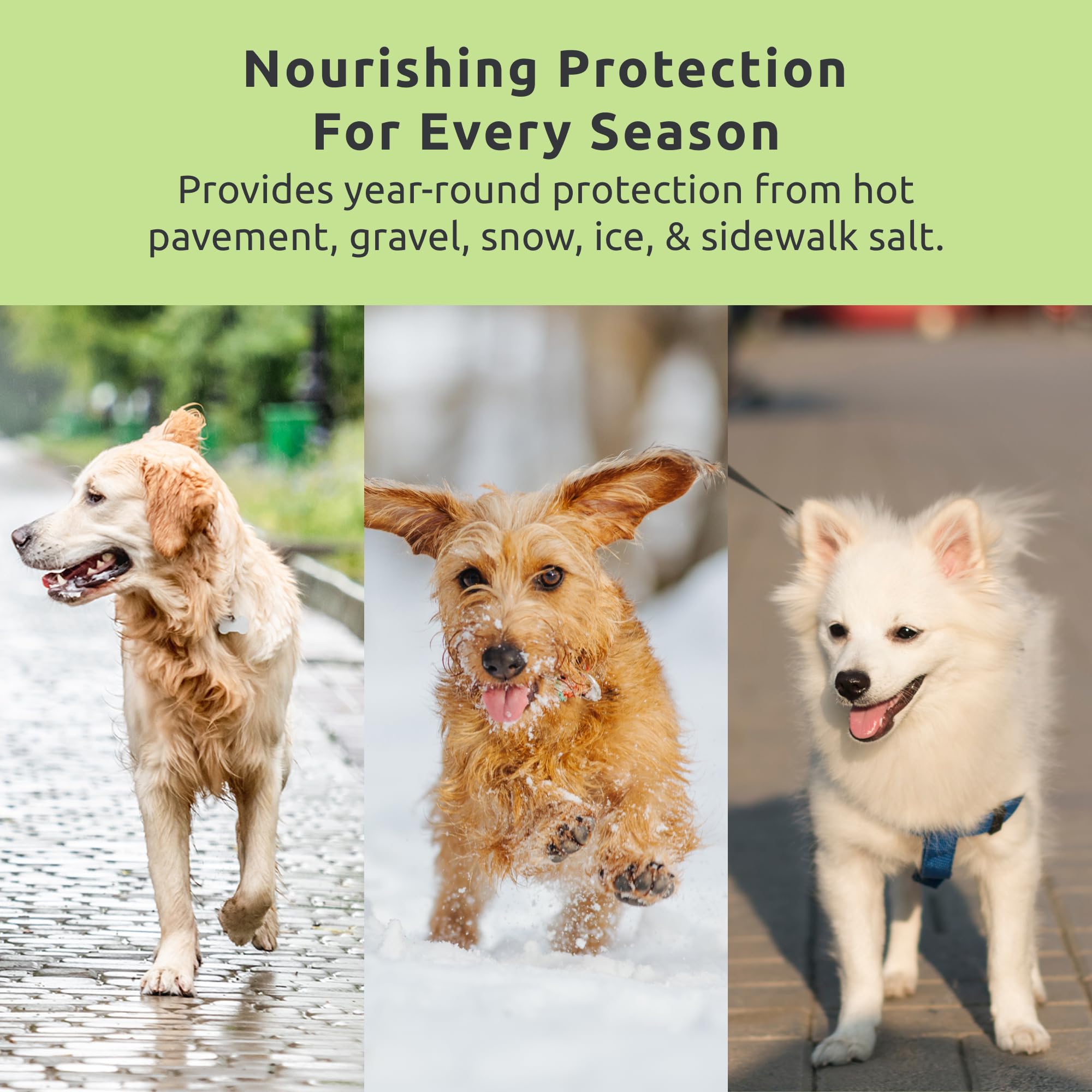 Protex PawZ MaxWax on hot pavement during summer stroll
