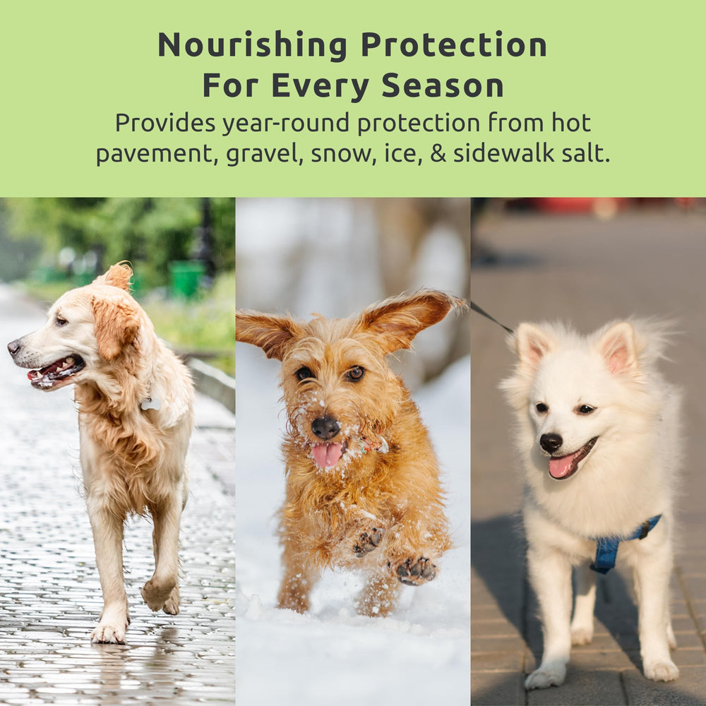 Protex PawZ MaxWax on hot pavement during summer stroll