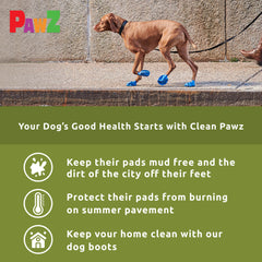 Protex PawZ medium paw dog boot worn for secure comfortable fit
