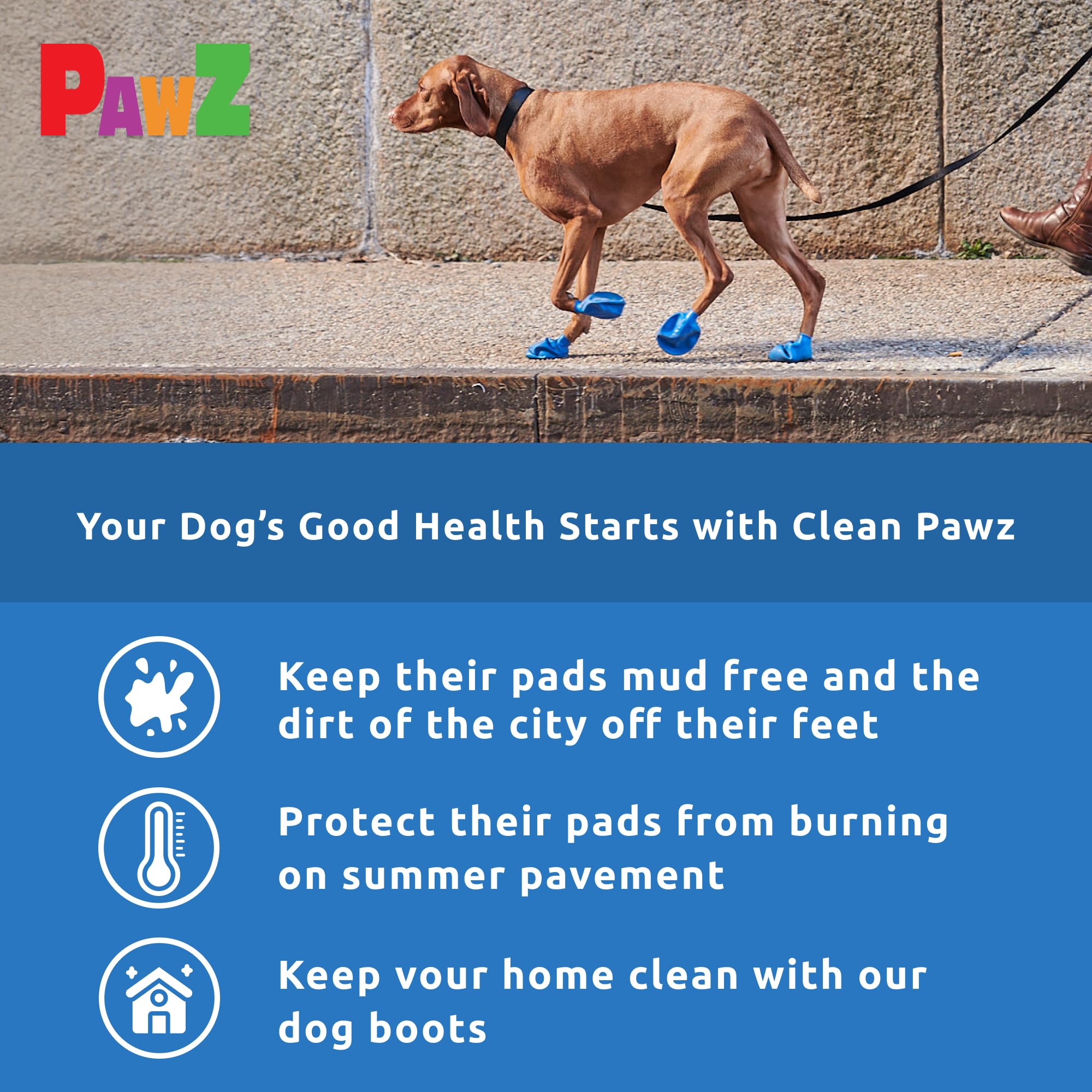 Protex PawZ non-slip traction natural rubber boots keep dogs steady on slick surfaces.