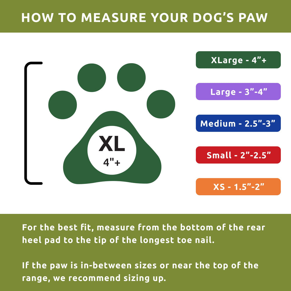 Protex PawZ olive green boot-pack packaging visible in 24-pack.