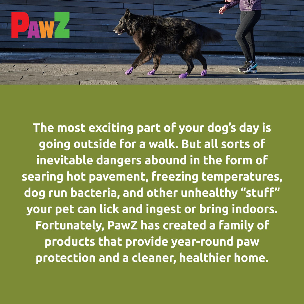 Protex PawZ boots on a dog's paw ready for outdoor adventure.