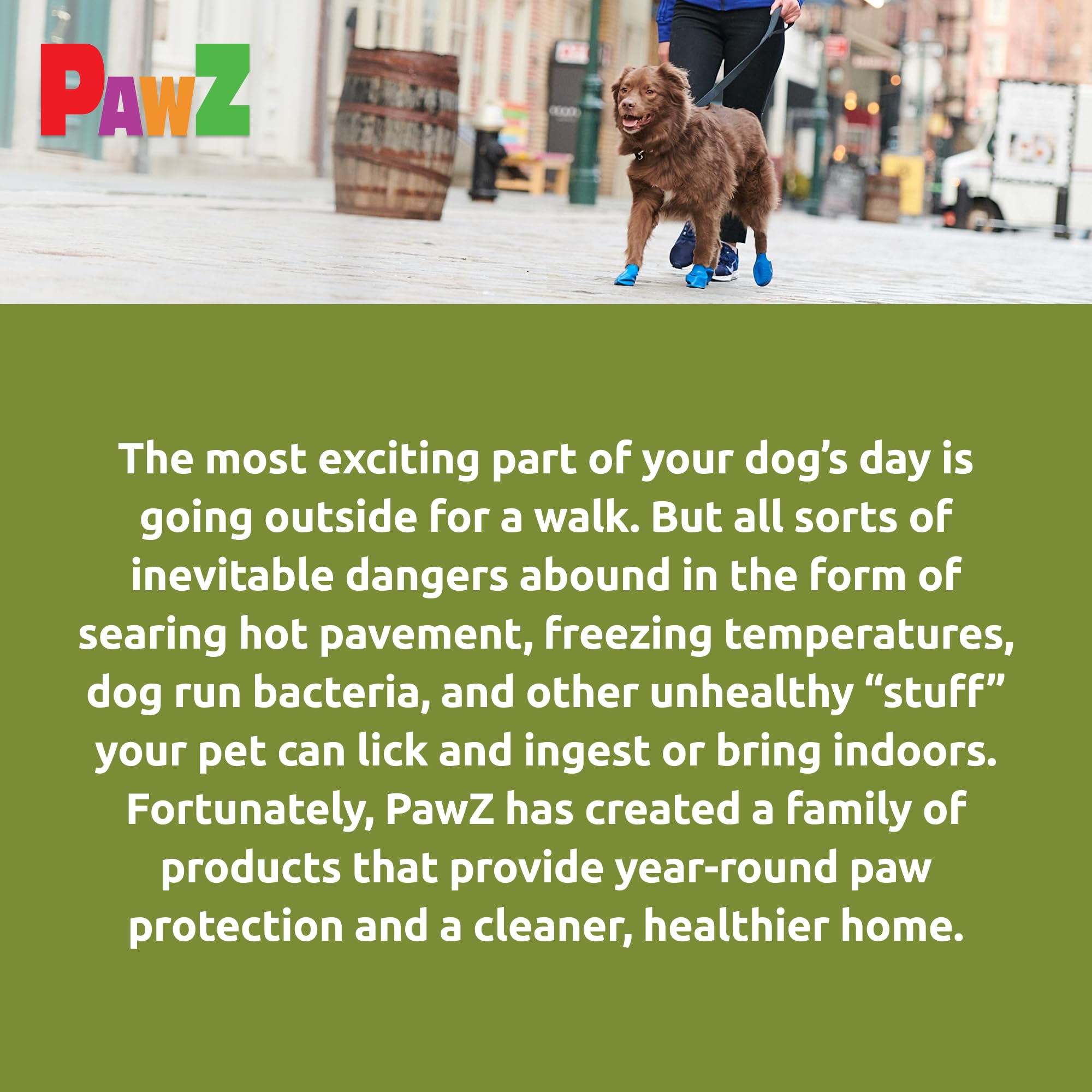 Protex PawZ outdoor dog boot in action enabling rain or snow adventures
