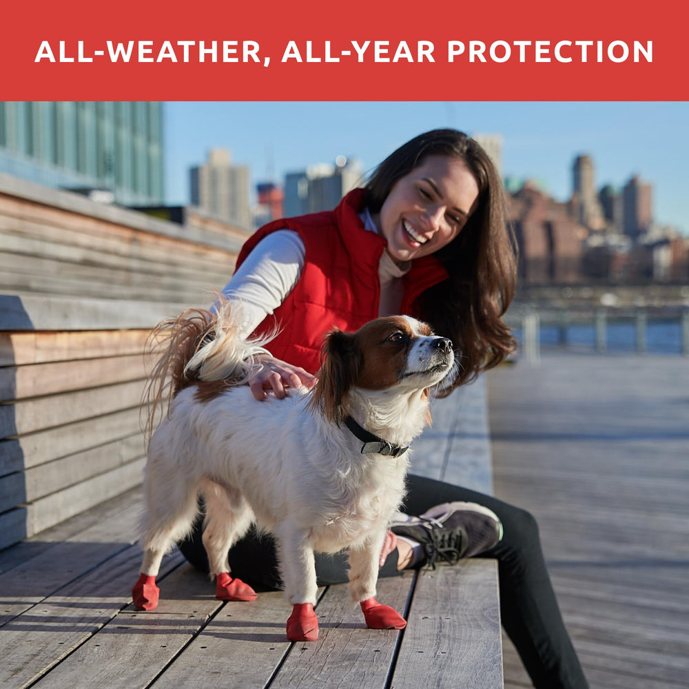 Protex PawZ boot on hot pavement protects paws during sunny walks.