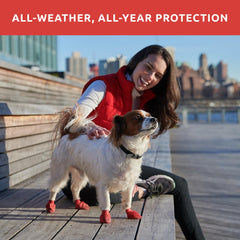Protex PawZ boot on hot pavement protects paws during sunny walks.