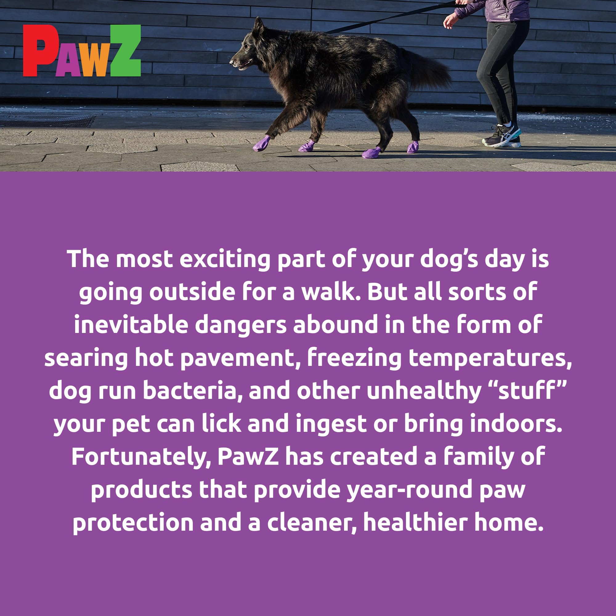 Protex PawZ dog boots pack of 24 demonstrates versatility for adventures.