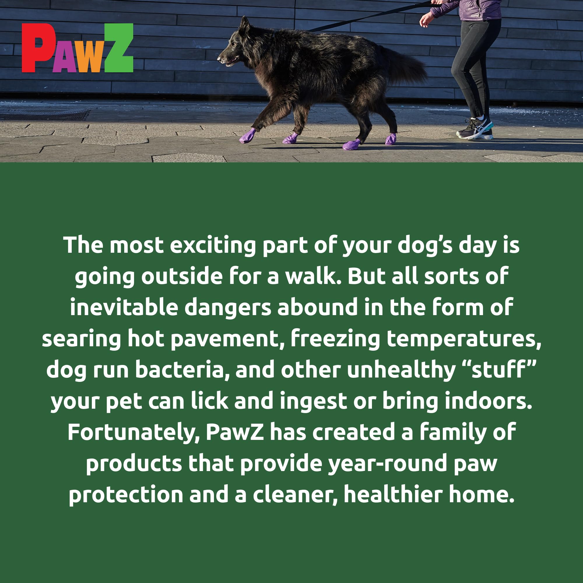 Protex PawZ winter protection in snow and mud use-case demonstrates durable paw protection.