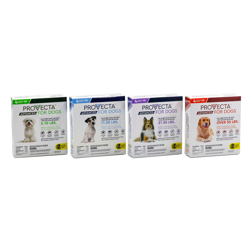 Provecta Advanced promotes ongoing lice prevention as part of dog care.