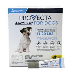 Provecta Advanced for Dogs on a coat demonstrates ongoing flea and tick protection.