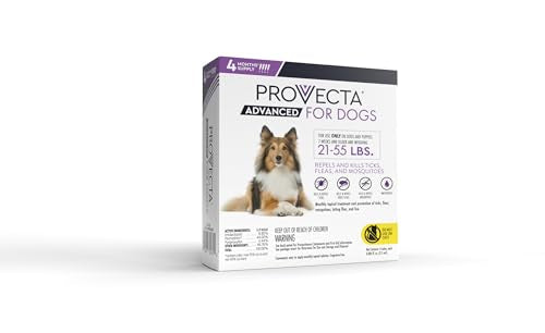 Provecta Advanced for Dogs bathing-proof application illustrated during swimming activities.
