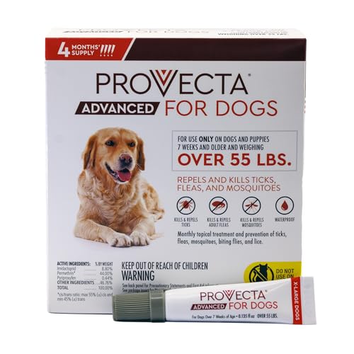 Provecta Advanced for Dogs XL dog after application with shiny coat for outdoor protection