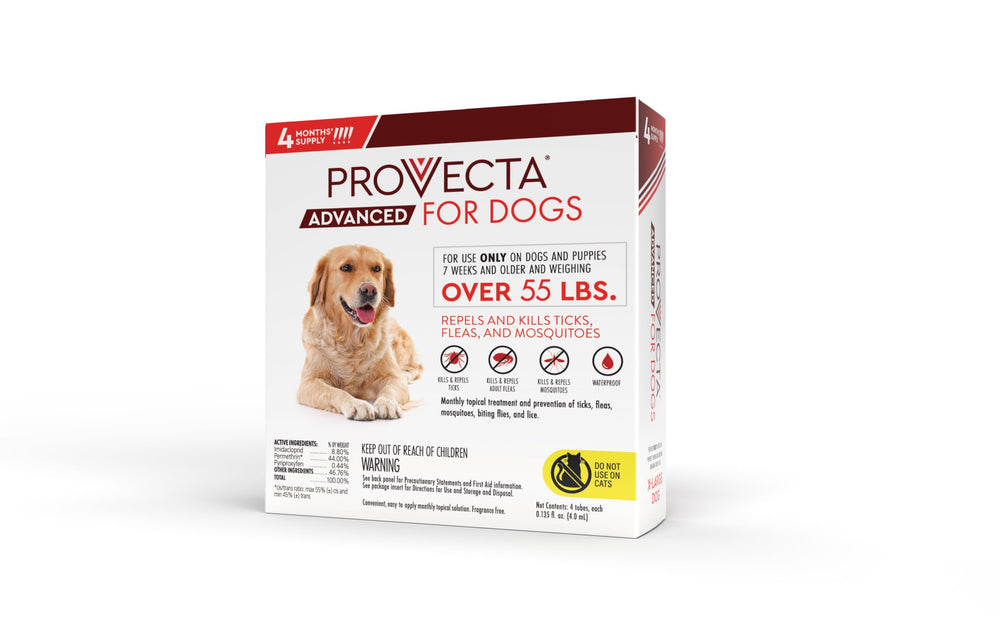 Provecta Advanced for Dogs XL being used after swimming showing lasting effectiveness
