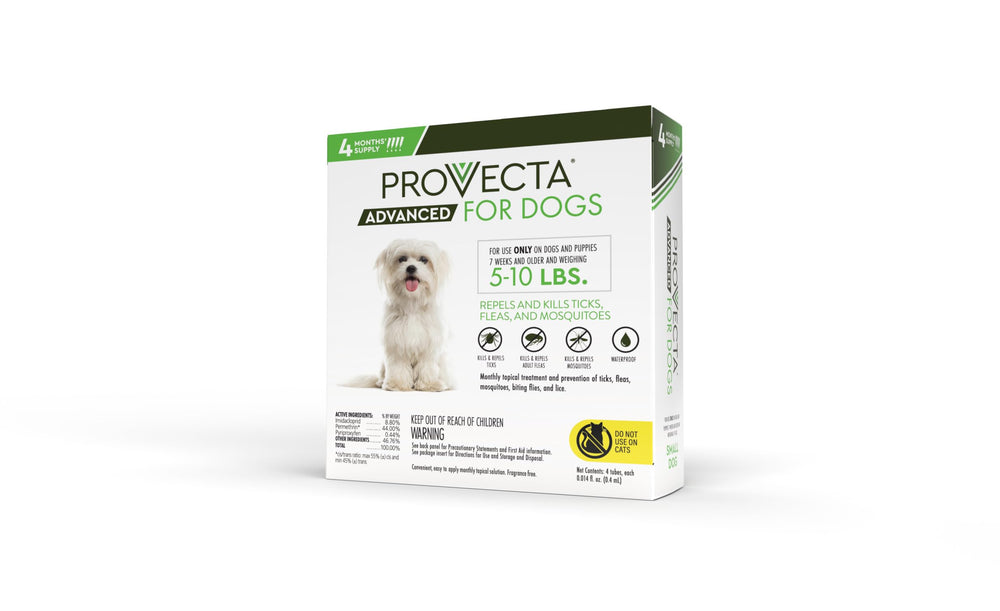 Provecta Advanced spot-on applicator on a dog's neck area for precise dosing.