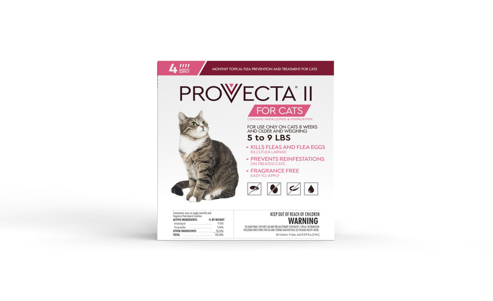 Provecta cat flea treatment application on fur demonstrates simple weekly protection for cats 5-9 lbs.