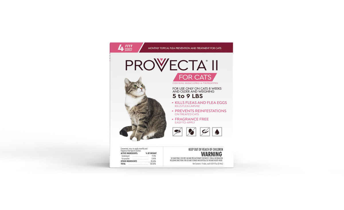 Provecta cat flea treatment application on fur demonstrates simple weekly protection for cats 5-9 lbs.