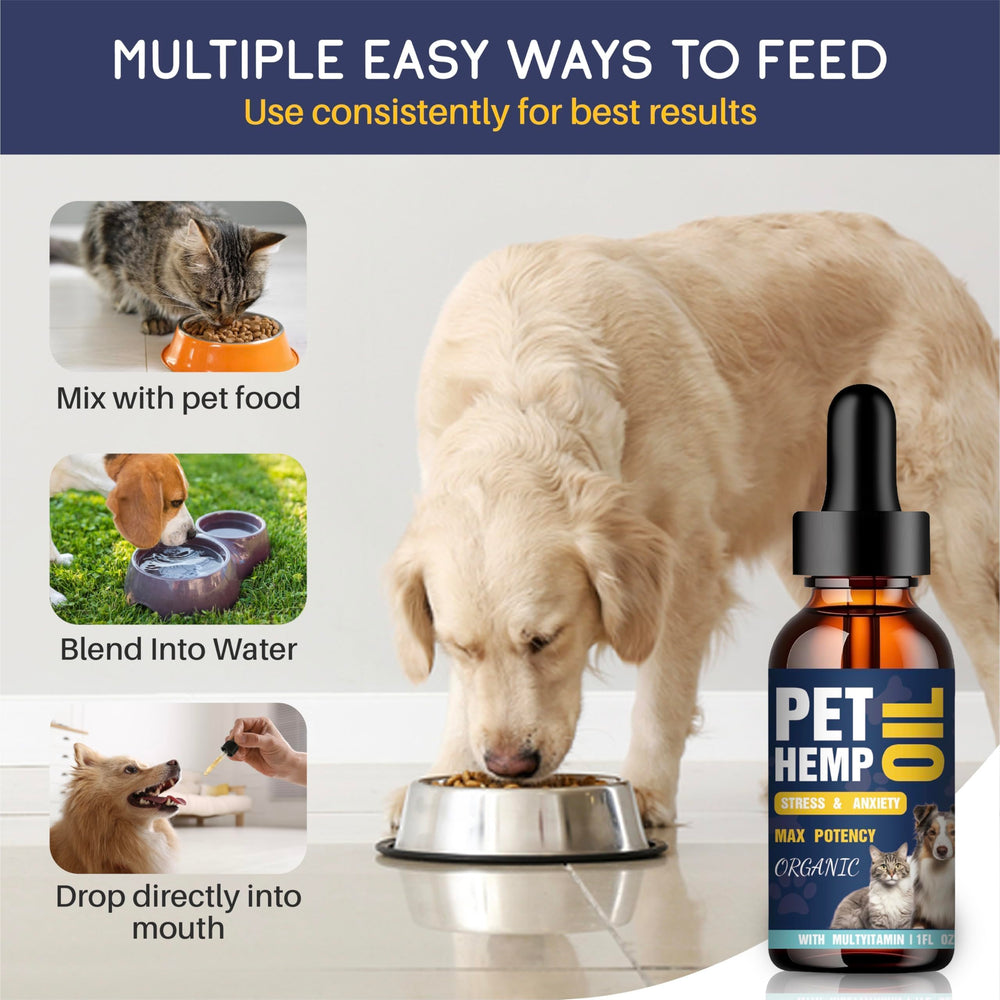 PROZIMA hemp oil dogs-cats relaxation use-case shows calmer pet.