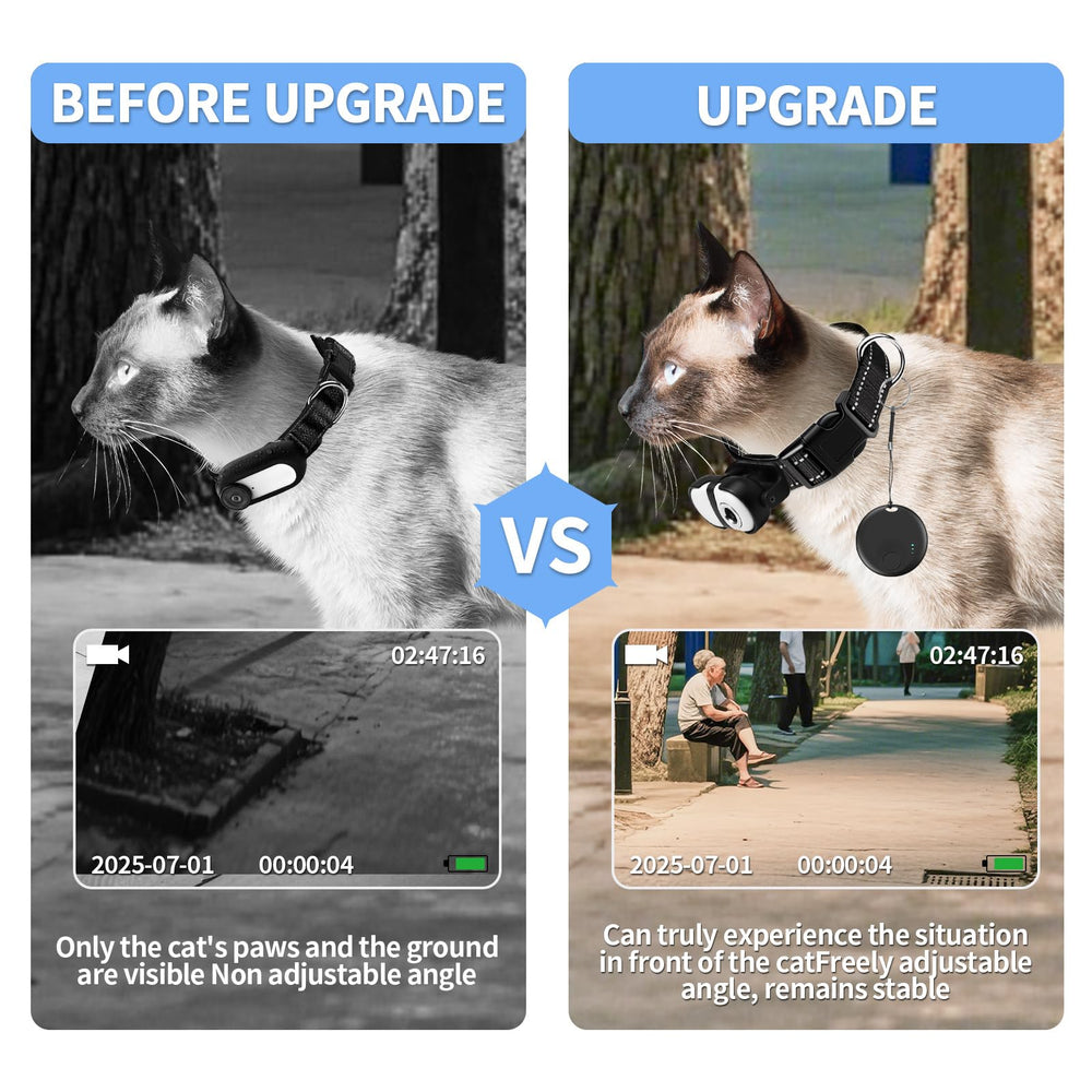 PRRPRR night vision view reveals pet activity in low light.