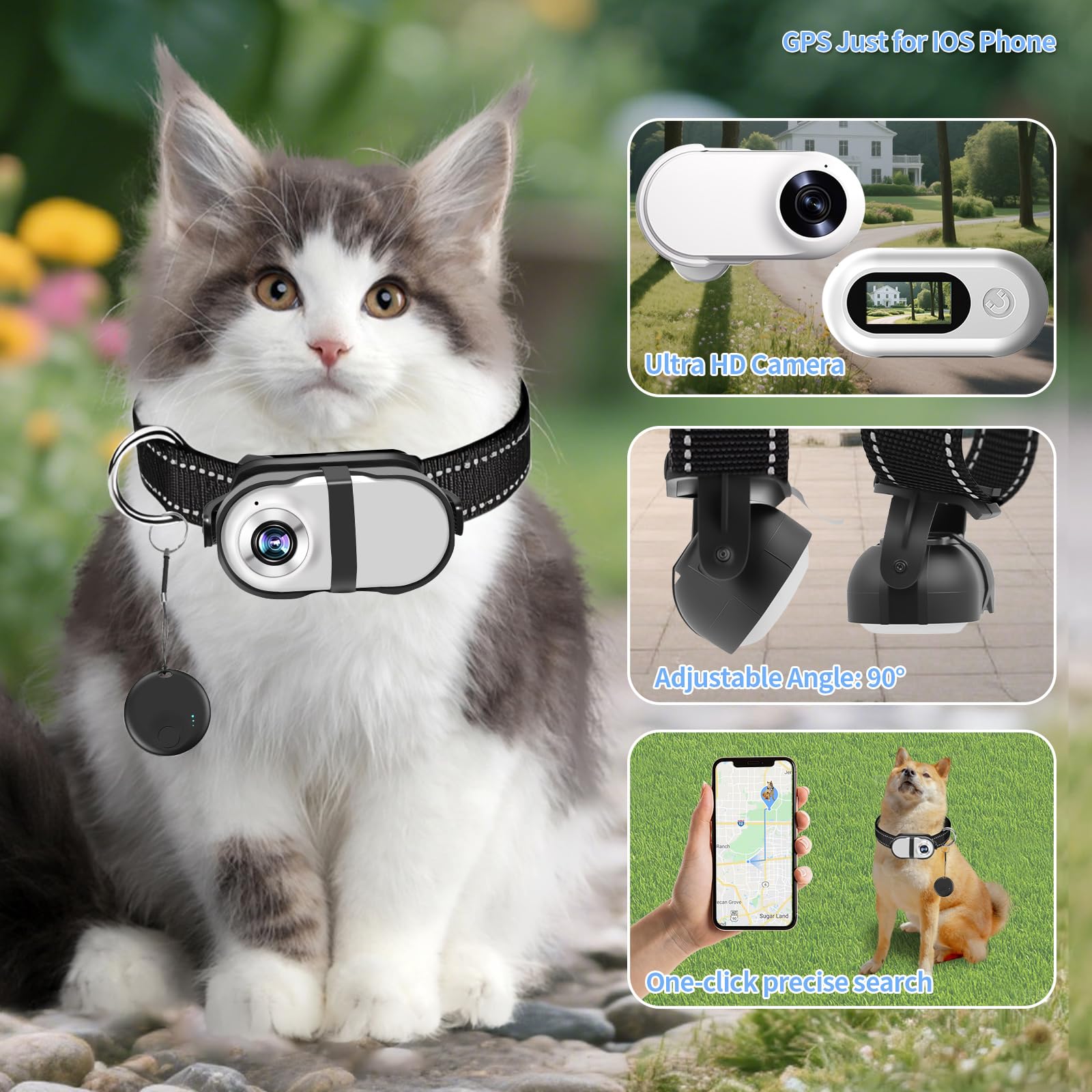 PRRPRR pet camera collar worn from the side showing lightweight all-day wear.