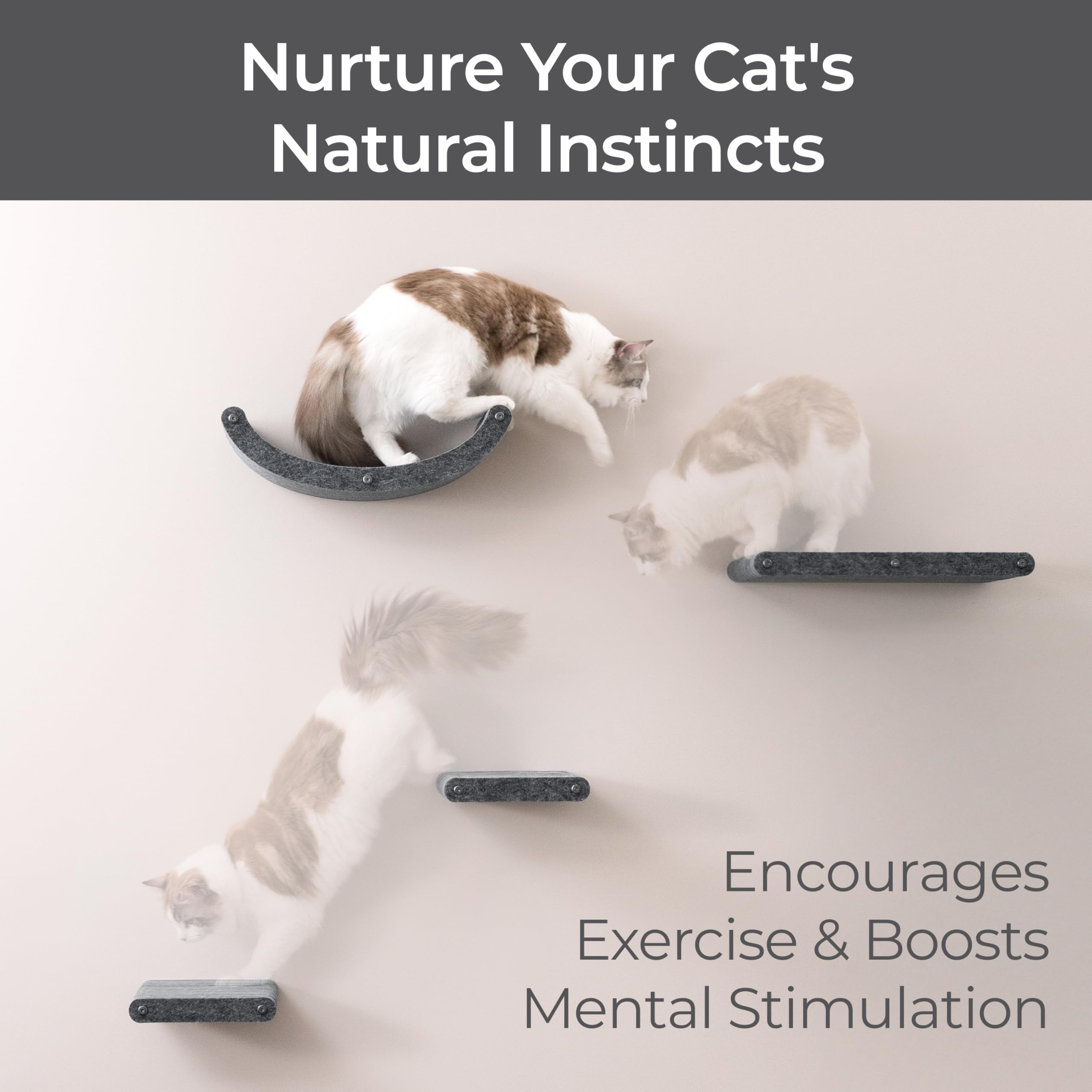 Pryde Pets anti-slip PET felt promotes safe daily use for active cats.