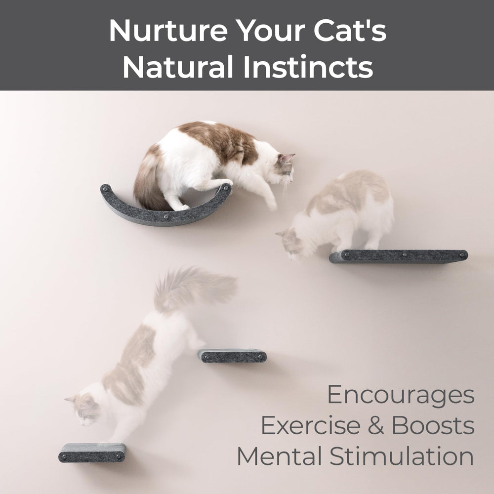 Pryde Pets anti-slip PET felt promotes safe daily use for active cats.