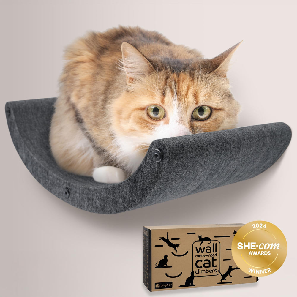 Pryde Pets wall-mounted cat hammock bed charcoal offers a compact lounging perch for indoor cats.