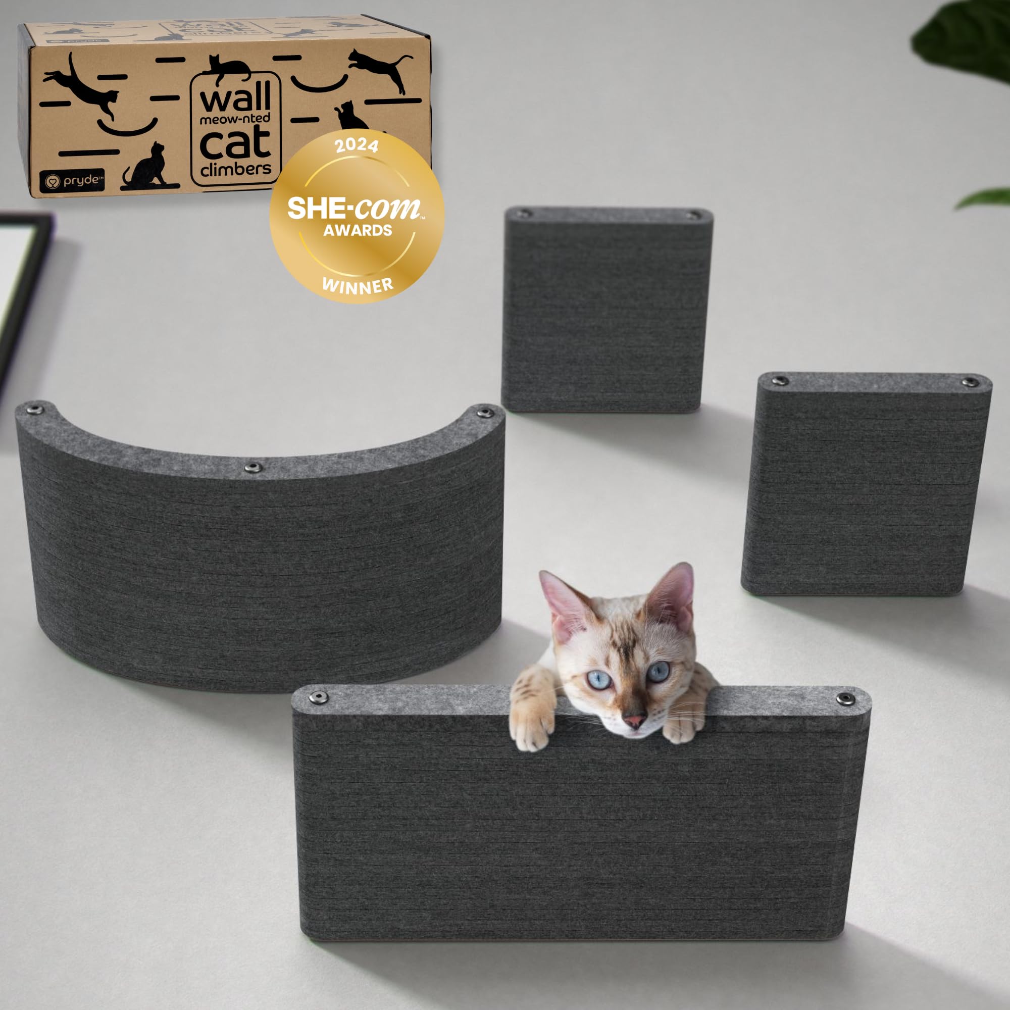 Pryde Pets wall-mounted shelves set of 4 arranged for versatile cat climbing and lounging.