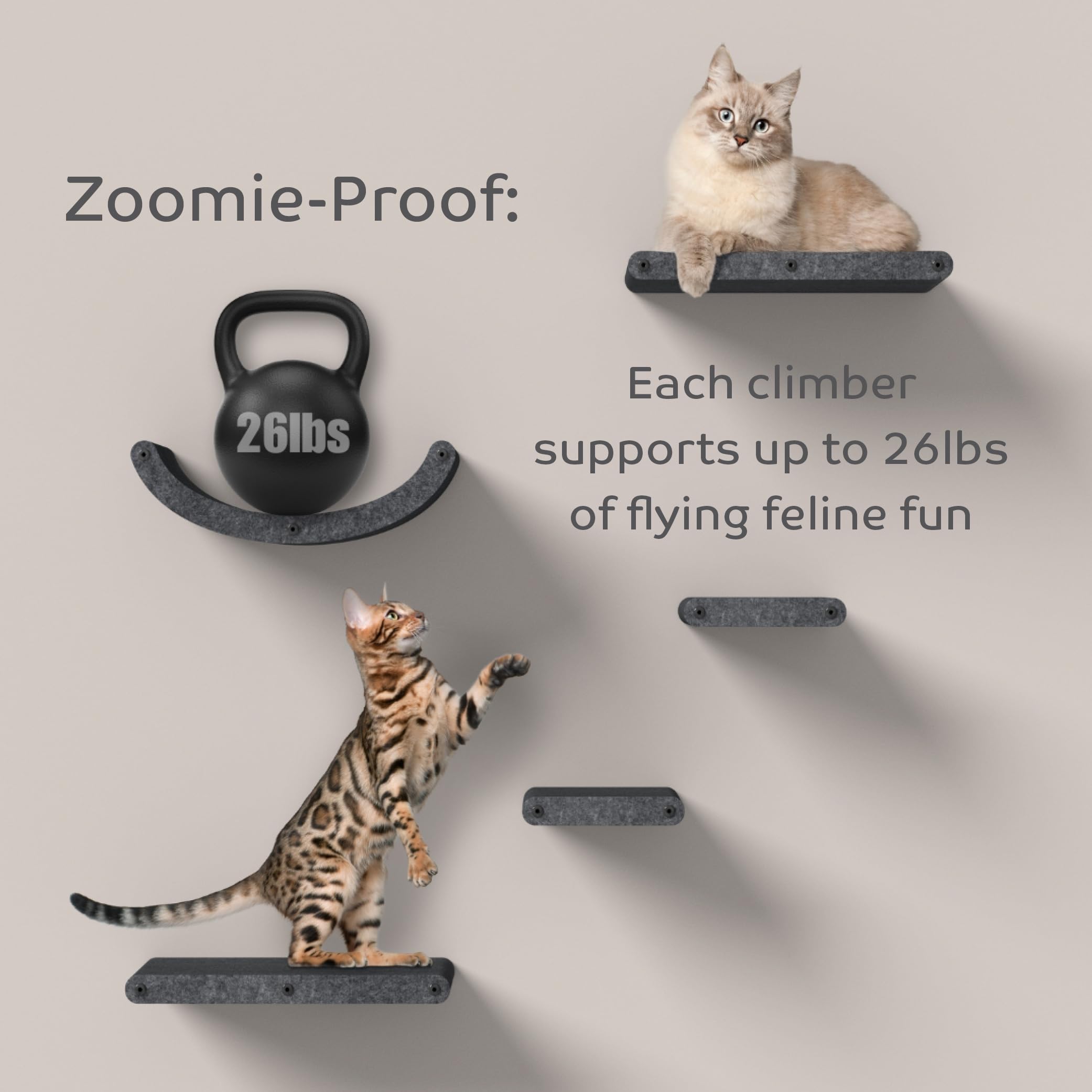 Pryde Pets weatherproof cat shelf suitable for outdoor catios or sheltered spaces.