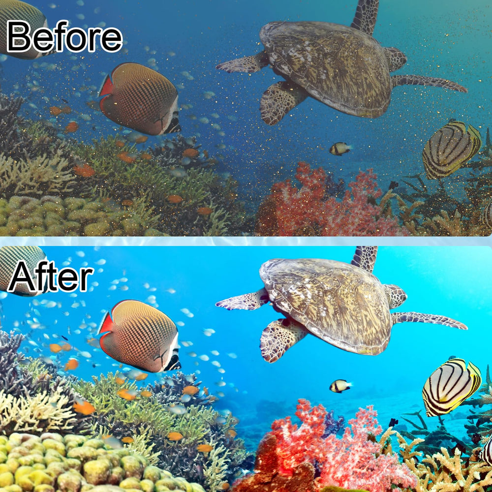 Pryitier aquarium water-quality benefit graphic communicates healthier fish environment.