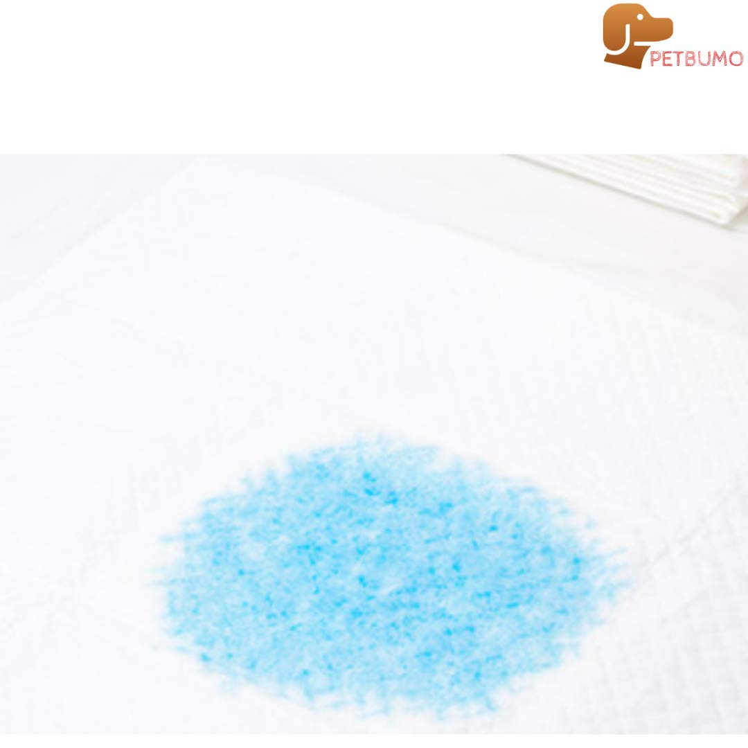 PS KOREA potty tray floor protection helps maintain a dry, odor-free home environment.
