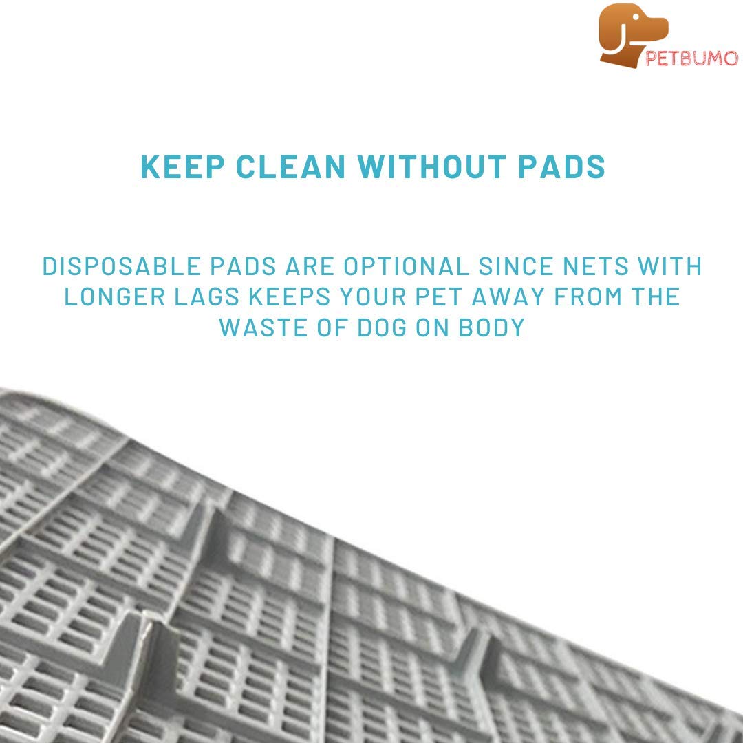 PS KOREA potty tray with perforated grate directs urine to pads for tidy indoor use.