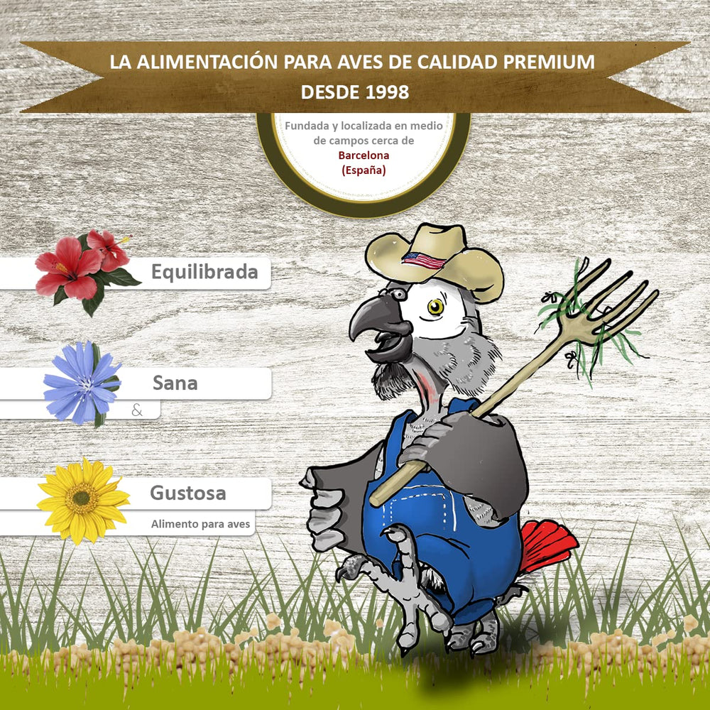 Psittacus Minor complete diet chart hints at variety and balance.
