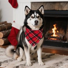 PTDECOR green plaid christmas dog bandana tassels for holiday cheer moments