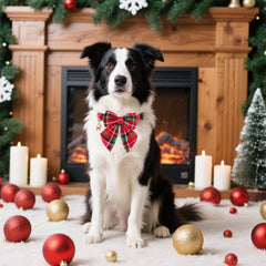 PTDECOR adjustable sizes suitable for medium dogs for comfy fit
