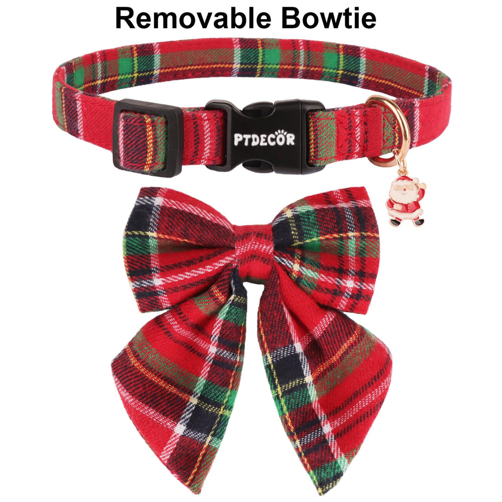 PTDECOR dog wearing collar outdoors showing holiday charm
