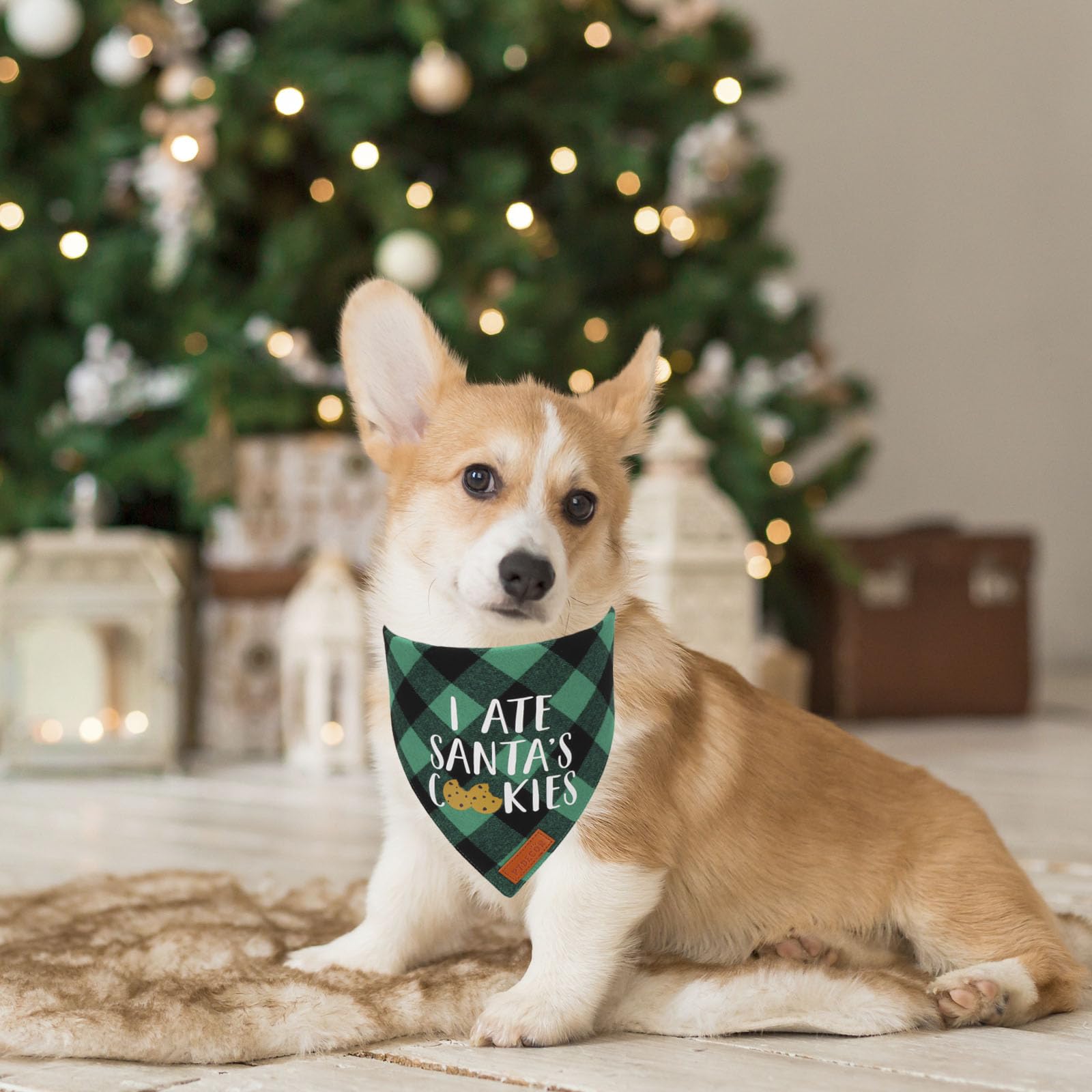 PTDECOR dog bandana green plaid adds holiday charm for photos
