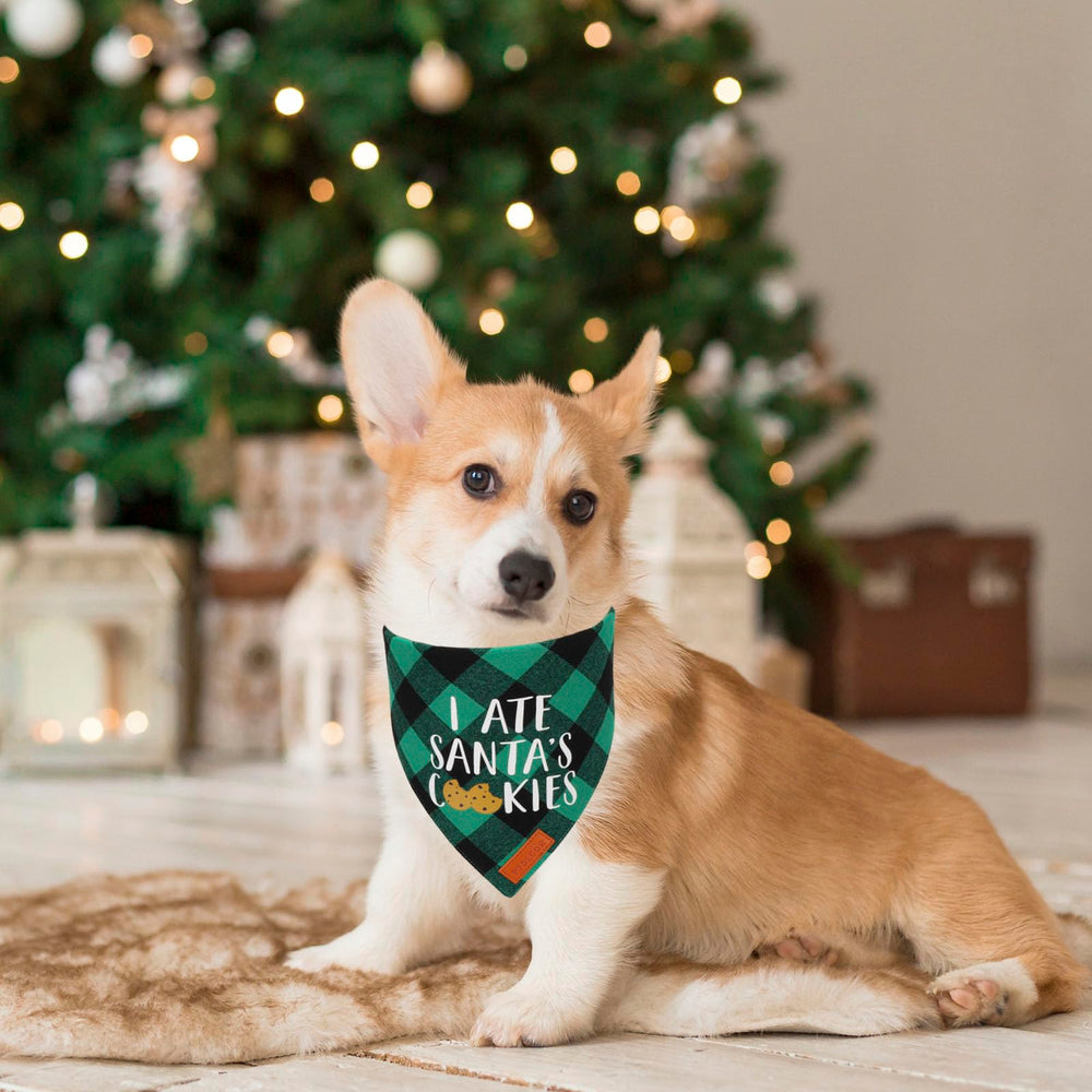 PTDECOR dog bandana green plaid adds holiday charm for photos