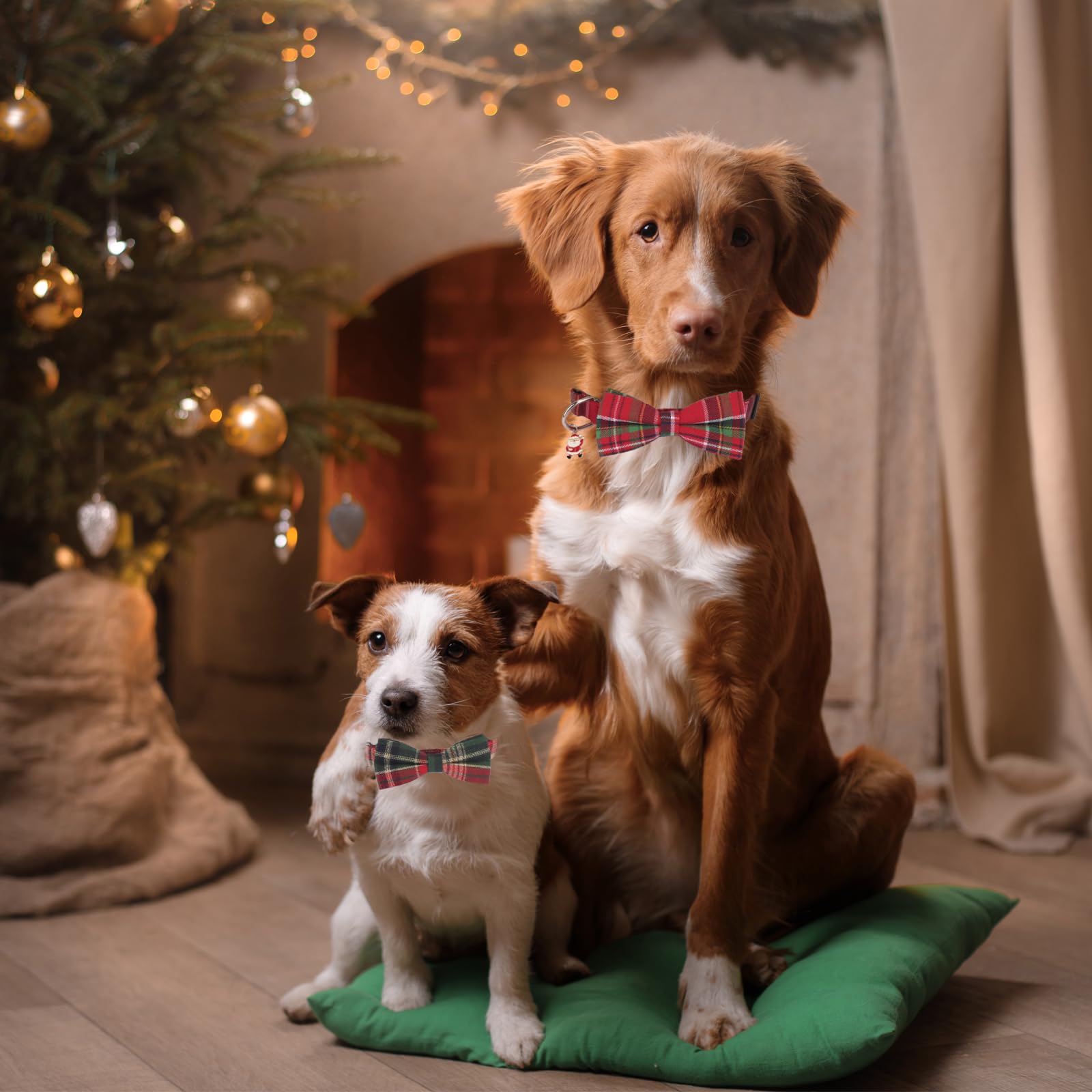 PTDECOR sturdy D-ring lets you add tags or leashes securely