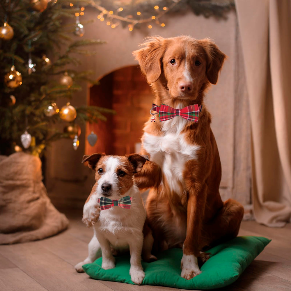 PTDECOR sturdy D-ring lets you add tags or leashes securely