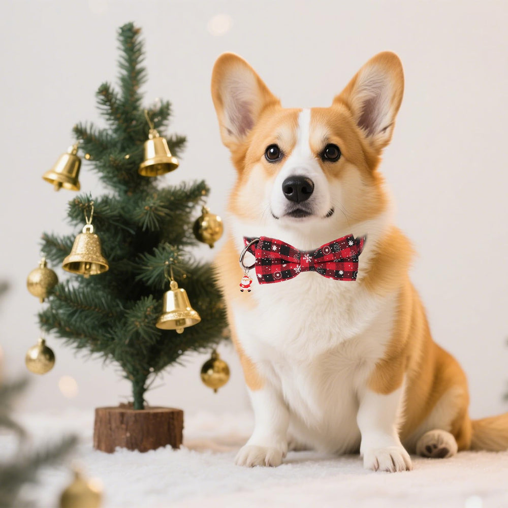 PTDECOR durable buckle and metal D-ring ensure easy on-off and leash security.